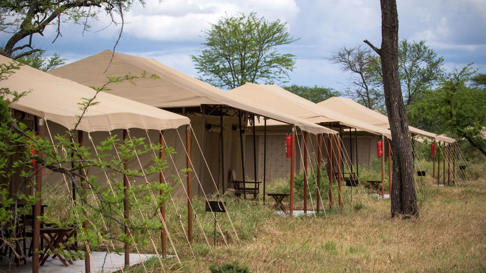 Serengeti Acacia Central Camp Екстер'єр фото